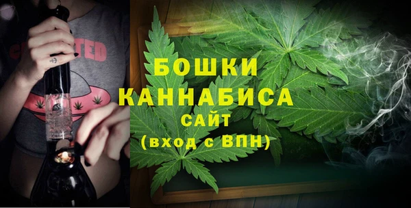 дурь Бронницы