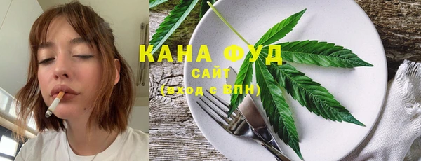 PSILOCYBIN Бородино