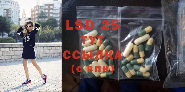 PSILOCYBIN Бородино