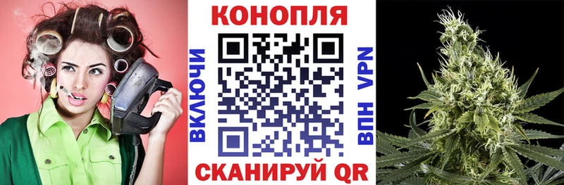 Шишки марихуана ГИДРОПОН  где купить наркотик  Тула 